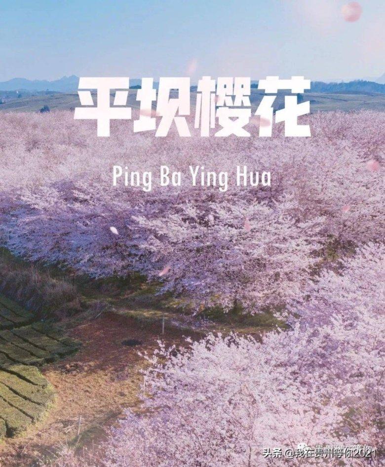 营救青少年
